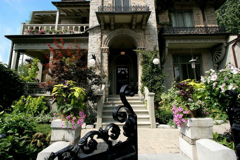 Hotel Belvedere Kingston Dış mekan fotoğraf